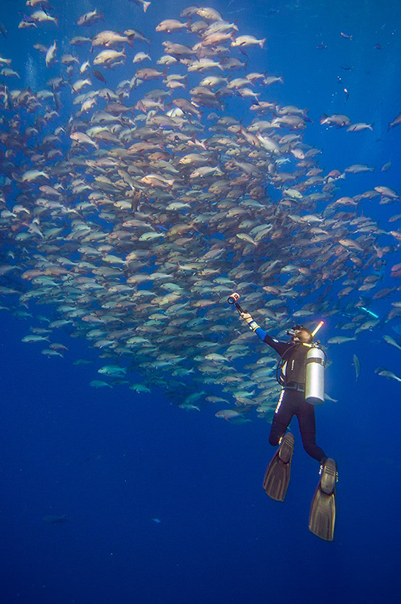 diving_Red_Sea_Brian_small