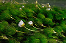 LPI_110912_0098
