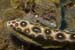 Leopard_eel_L2128_31_El_Hierro