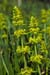 Crosswort_LP0044_51_Old_Winchester_Hill