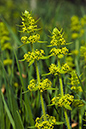 Crosswort_LP0044_51_Old_Winchester_Hill