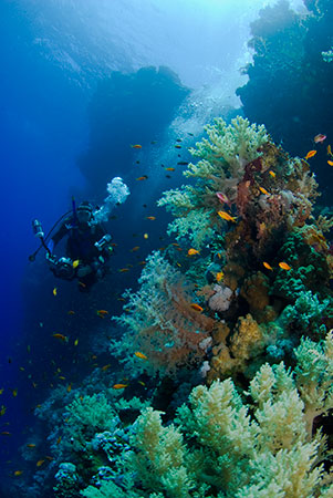 Coral_reef_L2114_20_The_Brothers