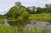 Langham_Pond_LP0218_50_Runnymede