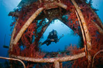 Diver on Satil wreck