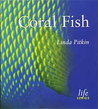 Coral Fish (2001) The Natural History Museum, London, UK.