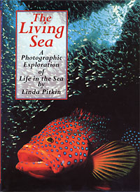 The Living Sea - a Photographic Exploration of Life in the Sea (1995) Fountain Press, Surrey, England.
