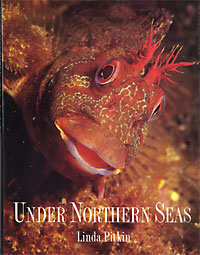 Under Northern Seas (1997) Cameron Books, UK.